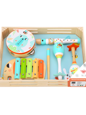Music Instrument Set