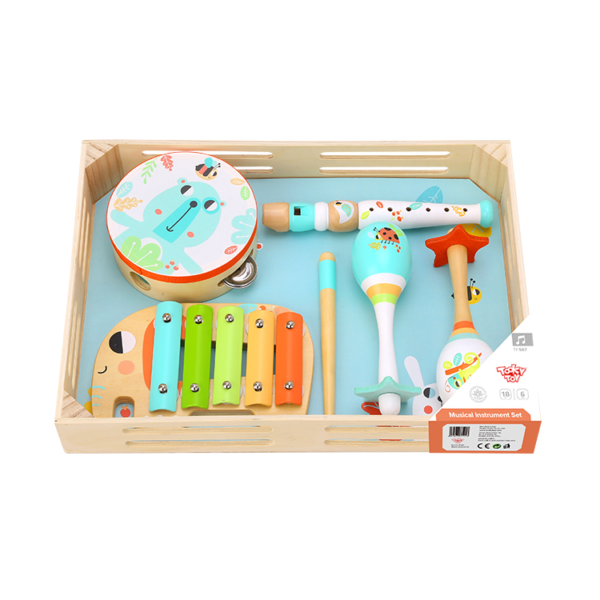 Music Instrument Set