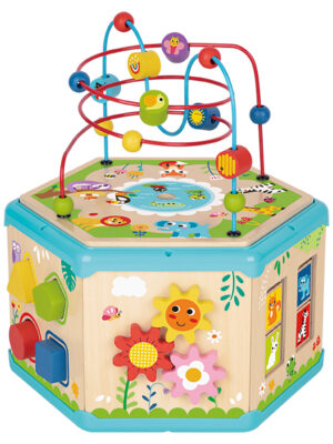 7 In 1 Activity Cube