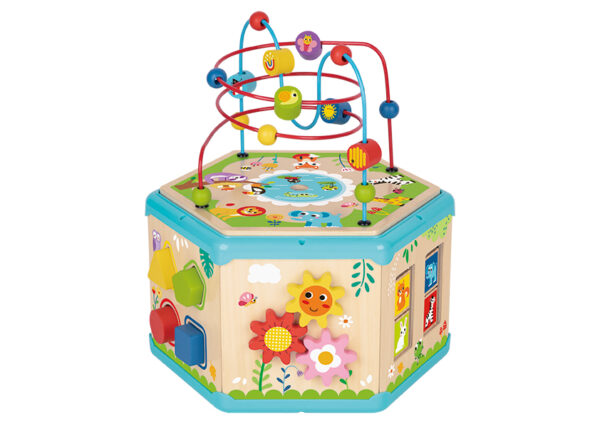7 In 1 Activity Cube